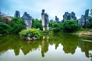 這里的景色憑什么征服全世界？——探尋云南旅行的正確打開方式