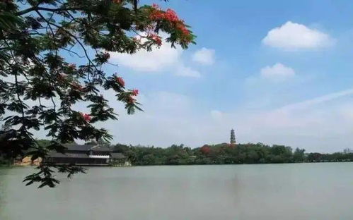 新春登高祈福首選 399元享羅浮山凱賓利世御酒店親子度假套餐，盡攬名勝風光與侏羅紀奇趣